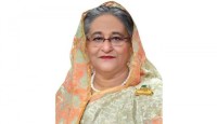 পদ্মাসেতু বিশ্বব্যাপী উপলব্ধি তৈরি করেছে বাংলাদেশও পারে: প্রধানমন্ত্রী